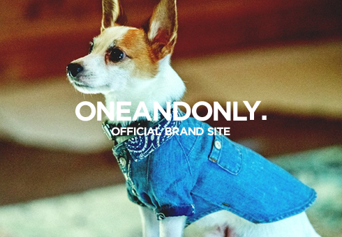 ONEANDONLY. Official Brand Site オープン！